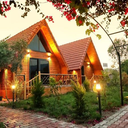 Begonvil Bungalow Apart Demre 1 Buitenkant foto